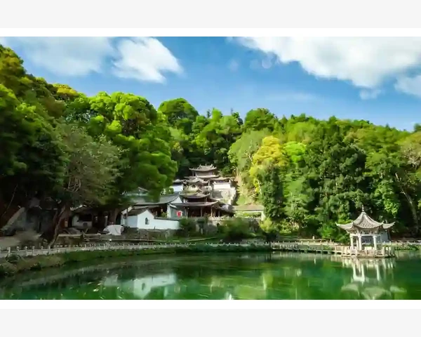 四周宝宝湿气大，饮食调理来帮忙！
